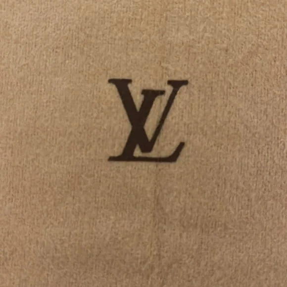 Lost in the ๐ฅ Louis Vuitton Dust Bag - Picture 7 of 7